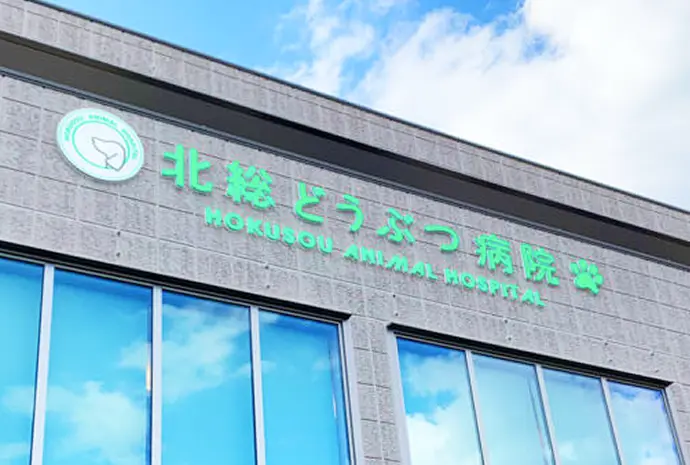 LEDチャンネル文字